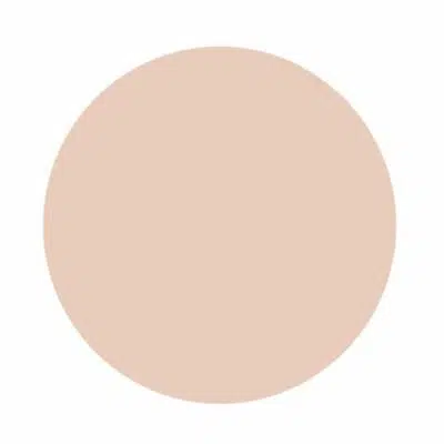 Gel de couleur - Pastel Beige - 5 gr